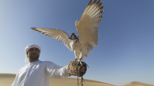 An Emirati man with his falcon. (Pixabay) An Emirati man with his falcon. (Pixabay)
