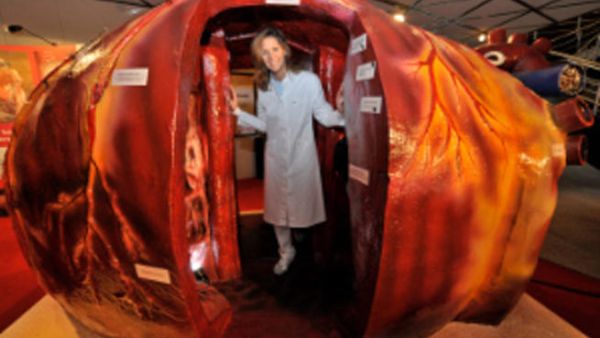Heart awareness program launches on World Heart Day. [middleeasthospital]
