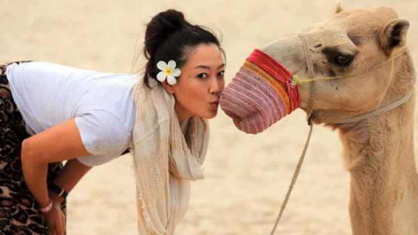 Michelle Wie of the USA comes up close with a camel on the beach at the Jebel Ali Golf Resort and Spa as a preview for the 2012 Omega Dubai Ladies Masters on December 2, 2012 in Dubai, United Arab Emirates. (Photo by David Cannon/Getty Images)
