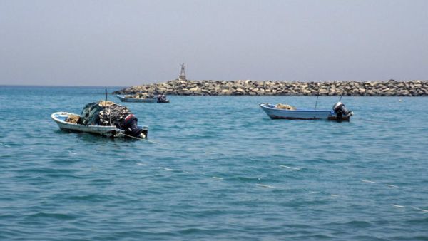 قوارب صيد بمحاذاة الشواطئ الاماراتية