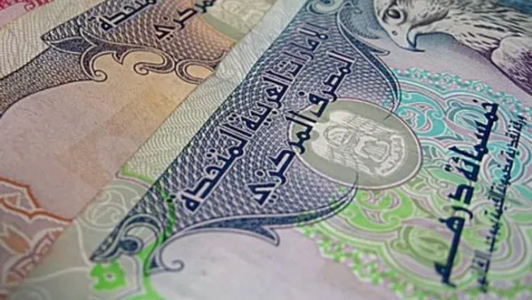 الدرهم الإماراتي 
