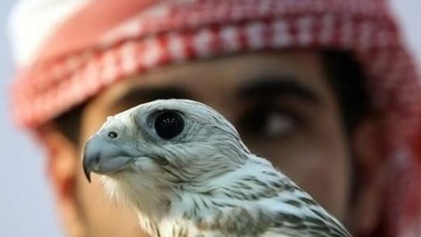 The United Arab Emirates will be offering a new attraction for its tourists as it opens its first hunting resort next September.
