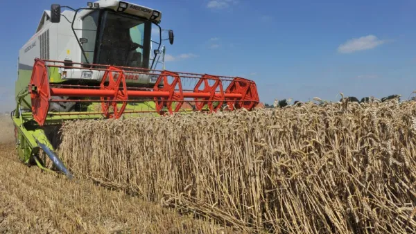 Iran expects to export 1 million tonnes of surplus wheat and its products this year. (AFP/ File)