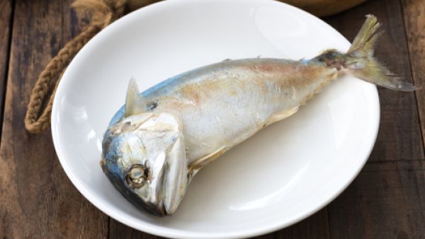 من فوائد السّمك أنه يعزز عمل الخلايا العصبيّة