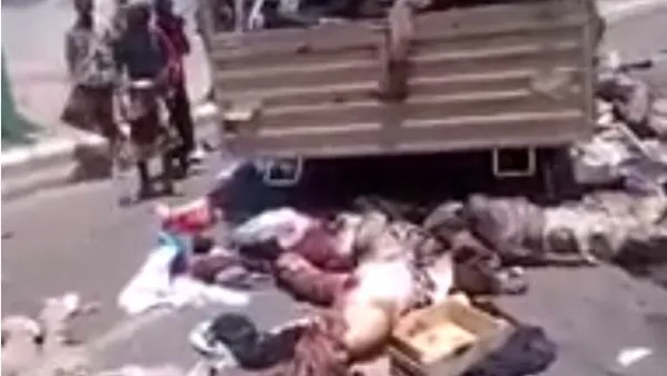 قيادات المليشيات في المحافظة اعترفت بما أسمته بالقتل الخطأ - من الفيديو 