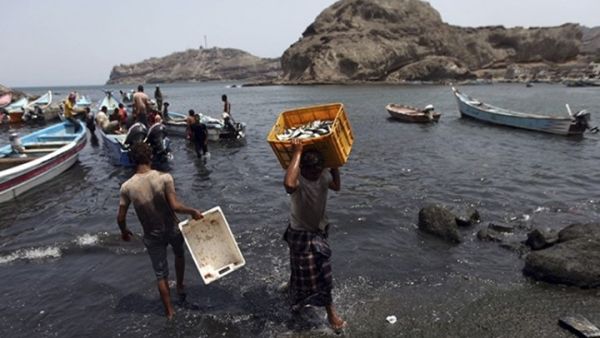 الصيادون المتواجدون في المناطق الساحلية الخاضعة لسيطرة قوات تشرف عليها الإمارات يواجهون إجراءات المنع من الصيد