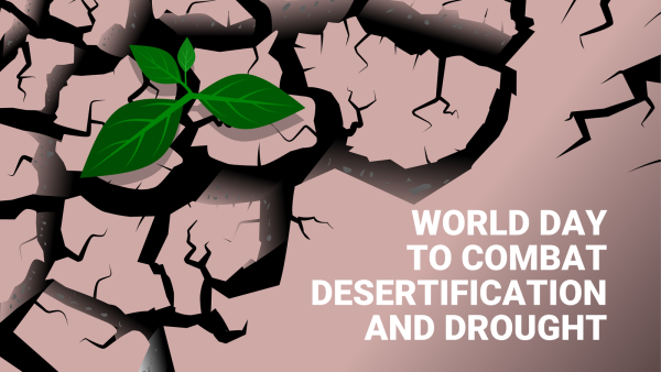 How Technologies Can Help Combat Desertification and Drought in The Arab World 
