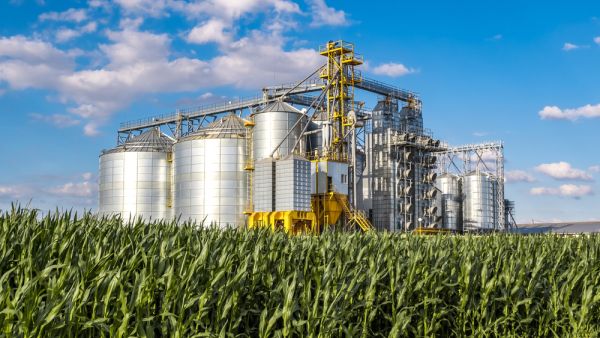 Unhealthy agrifood system adds trillions in hidden costs