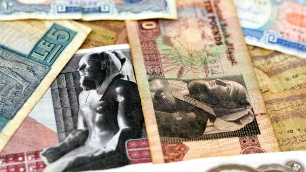 Central bank pins Egypt interest rates for now