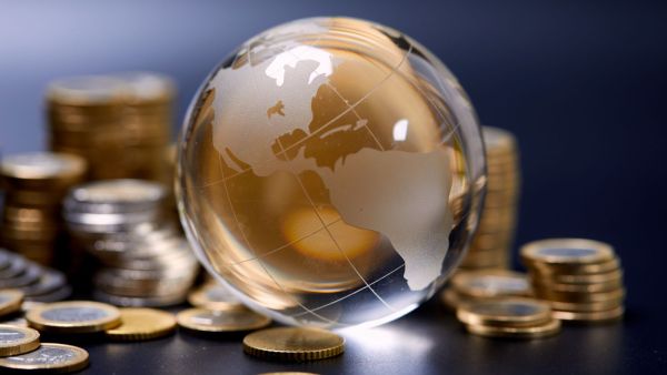 2024 will be economically painful – OECD