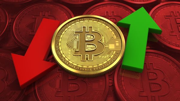Crypto News Recap: Bitcoin Remains Above $50K, First NFT Sold in Arab World