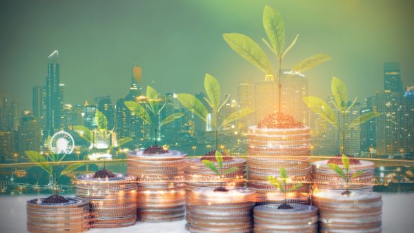 UAE Policies Boost Green Economy