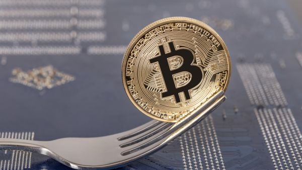 Crypto News Recap: Bitcoin Welcomes Taproot Soft Fork