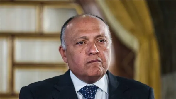وزير الخارجية المصري سامح شكري