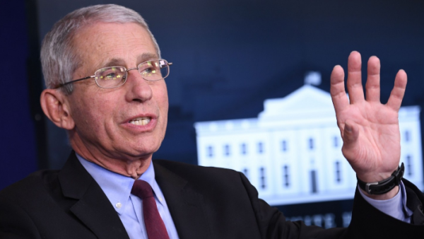 كبير مستشاري الرئيس الاميركي الطبيين أنتوني فاوتشي