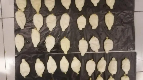 45 كبسولة كوكايين داخل أحشاء مسافر قادم للأردن