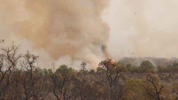 حرائق جديدة تندلع في غابات شمالي المغرب