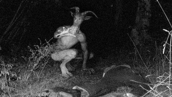 الأردن.. ذبح صديقه ليفك بدمائه الرصد عن الكنز