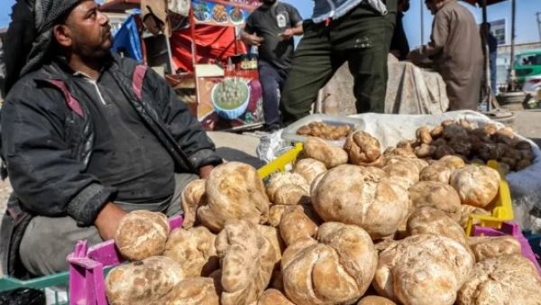 31 قتيلا بهجمات لداعش على جامعي كمأة ورعاة وسط سوريا