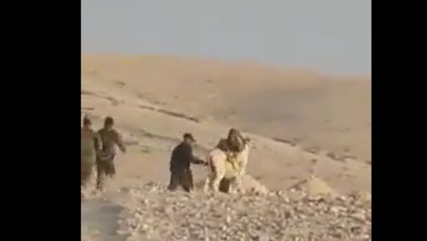 القوات الإسرائيلية تعتقل حمارا قرب الخليل 