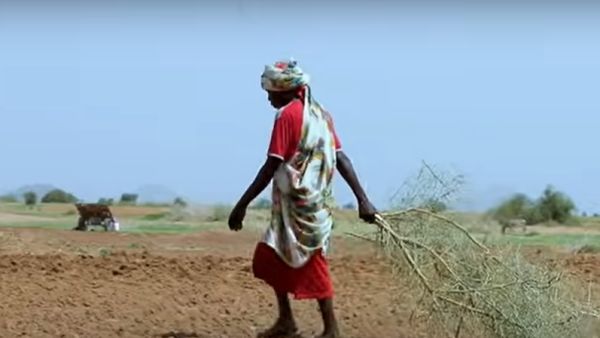 اشتباكات قبلية تخلف 7 قتلى في جنوب دارفور