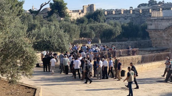 مئات المستوطنين يقتحمون الأقصى عشية يوم "الغفران" اليهودي