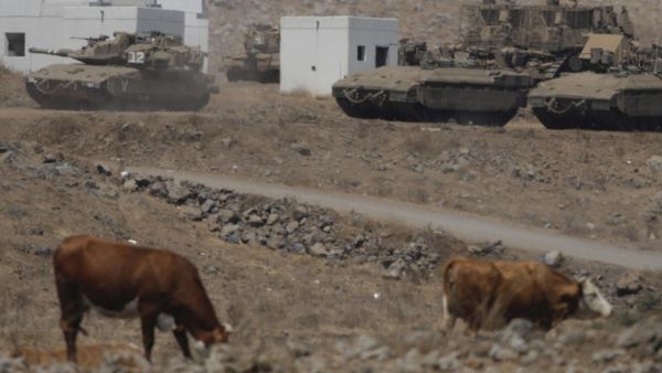 الجيش الاسرائيلي يتعهد بإعادة بقرات سرقها جنوده خلال توغل بلبنان