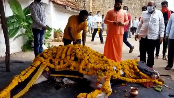 المئات يخرقون حظر كورونا في الهند لتشييع جنازة حصان