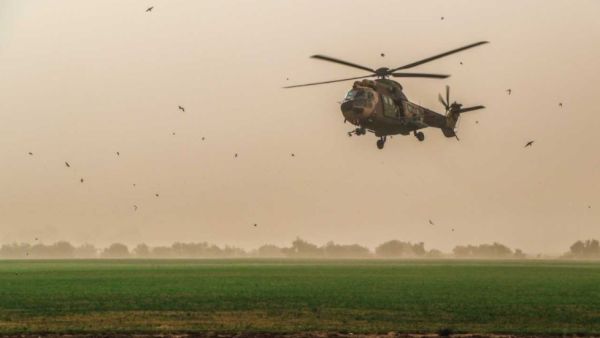 أسراب الجراد تطرق ابواب الأردن وسلاح الجو يتدخل