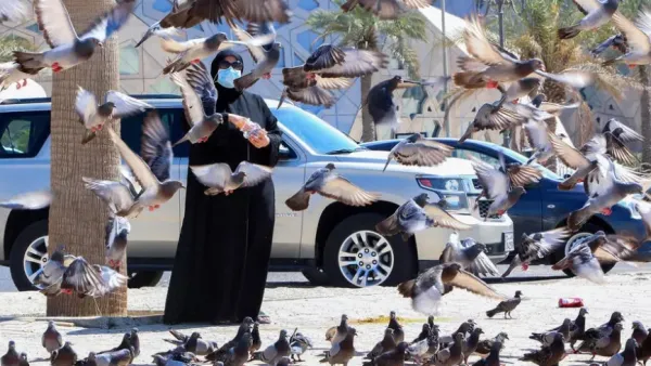ارشيف