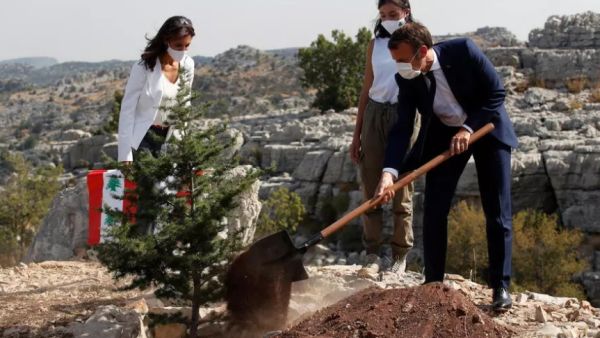 الرئيس الفرنسي إيمانويل ماكرون خلال احتفاله بذكرى مرور مئة عام على تأسيس دولة لبنان بزرع شجرة أَرز بالقرب من بيروت 