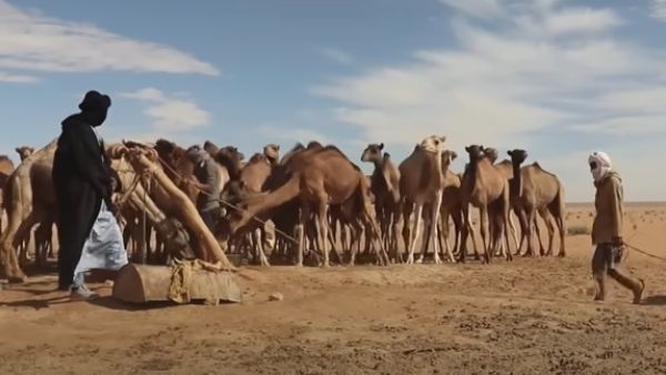 13 قتيلا بهجوم لجهاديين في مالي