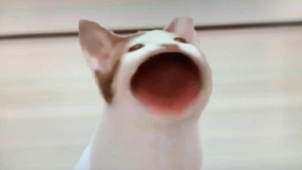 POPCAT Click