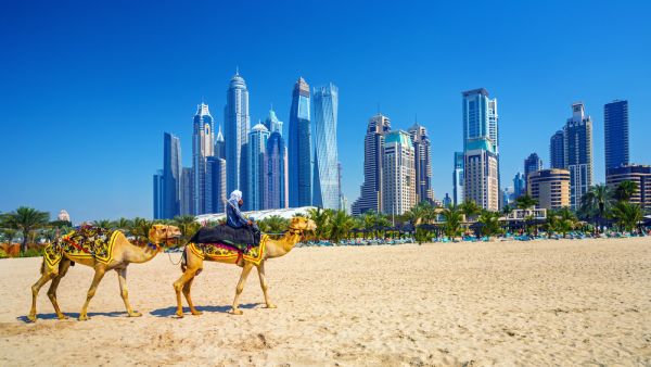 Comedy shows, summer offers and rock stars: Here’s what you shouldn’t miss (Shutterstock)