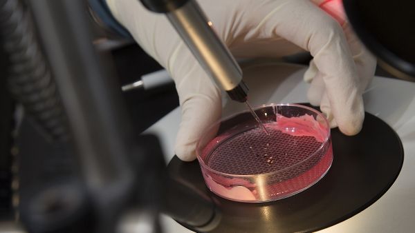 Qatari Students Learn Research Skills