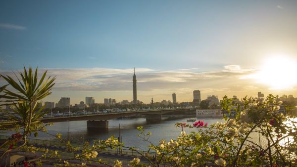 Spring in Cairo (Twitter)