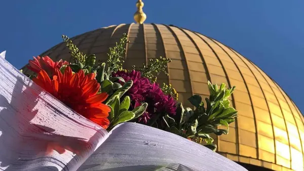  فتح التحقيق الجنائي في أسرع وقت ممكن وصولاً لإجراءات محاكمة مسؤولي سلطات الاحتلال الإسرائيلي