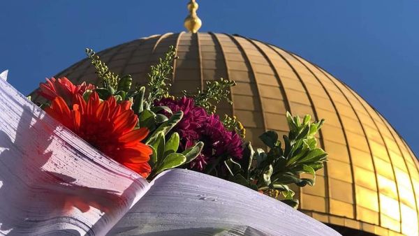 فتح التحقيق الجنائي في أسرع وقت ممكن وصولاً لإجراءات محاكمة مسؤولي سلطات الاحتلال الإسرائيلي
