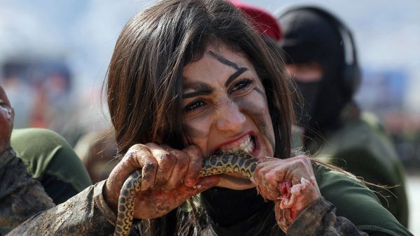بيشمركة
