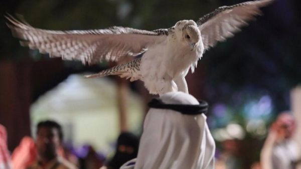 مهرجان الملك عبدالعزيز للصقور 