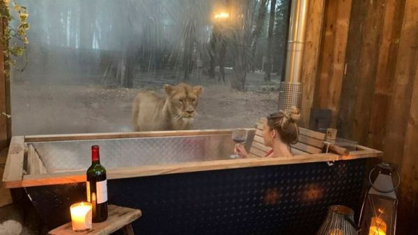  نُزل Port Lympne Hotel and Reserve