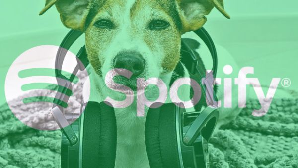 Spotify 