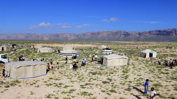 سقطرى اليمنية