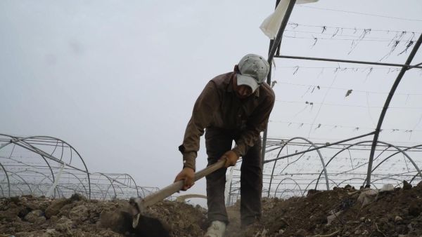 الأردن يسمح للعمال المصريين المنتهية تصاريح عملهم بالعودة