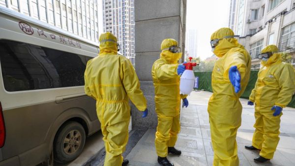 لأول مرة منذ 5 أشهر.. لا إصابات جديدة بكورونا في أستراليا