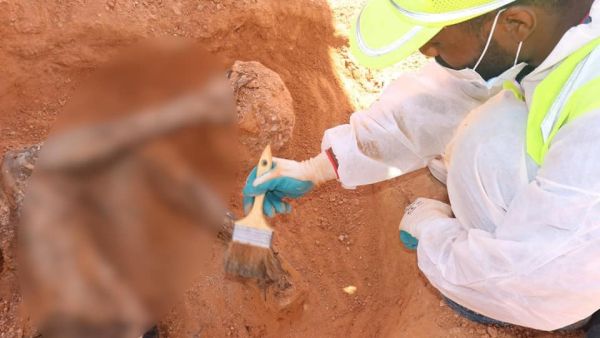 انتشال 225 جثة ورفات وأشلاء من طرابلس وترهونة