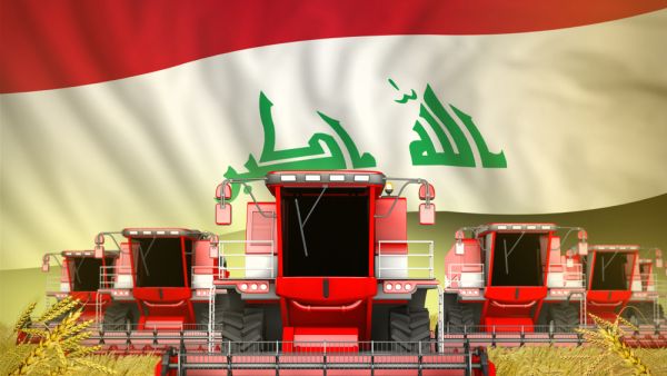 زراعة العراق تنتعش بعد إغلاق الحدود بسبب كورونا