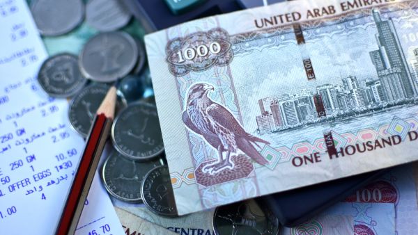 يعد قطاع البنوك في أبوظبي، والإمارات بشكل عام، من أهم القطاعات المالية الداعمة للاقتصاد الوطني