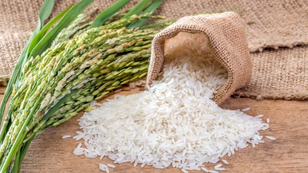الإمارات تقترب من تحقيق الاكتفاء الذاتي للأرز خلال عامين 