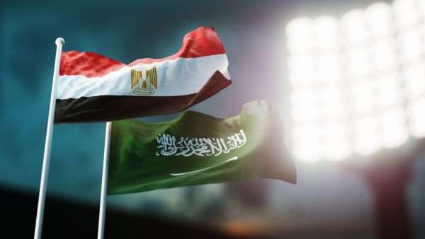 تملك "فودافون" 55% في "فودافون مصر"، بينما تحوز المصرية للاتصالات النسبة الباقية